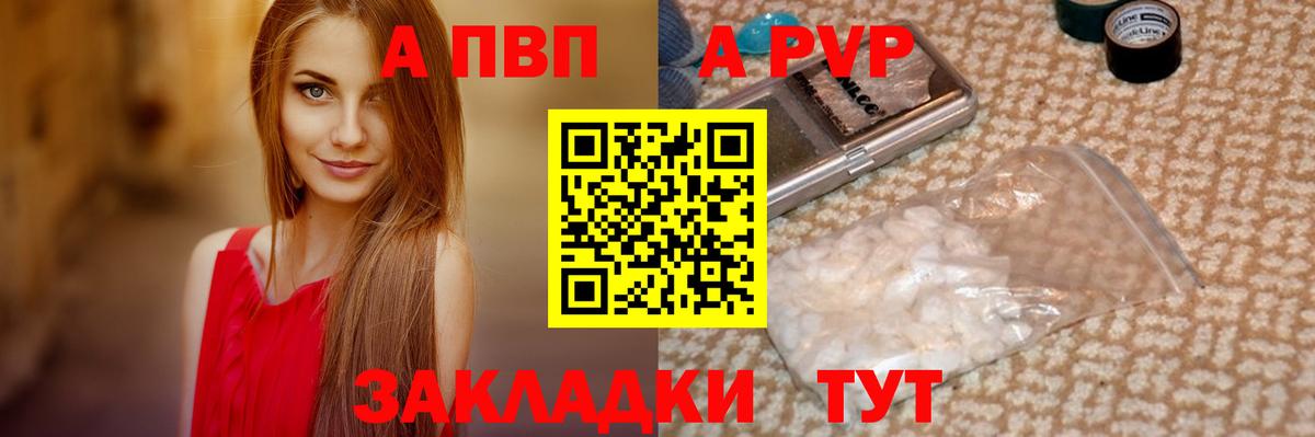 Alfa_PVP СК Кондопога