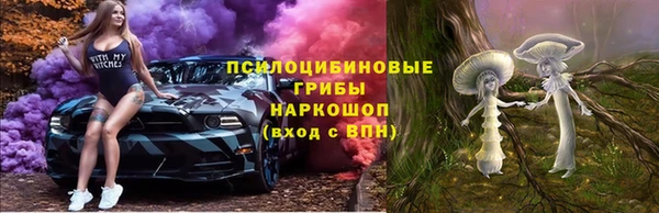 дживик Алзамай