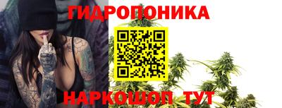 спиды Камень-на-Оби