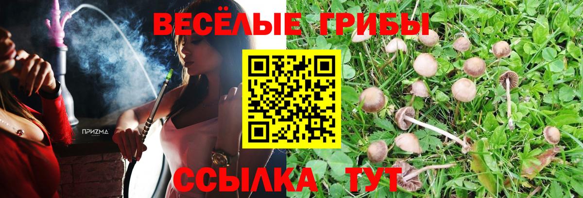 Псилоцибиновые грибы прущие грибы Кондопога