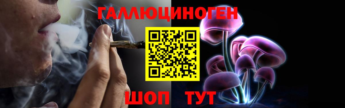 Псилоцибиновые грибы прущие грибы  купить   Кондопога  Вход с VPN 